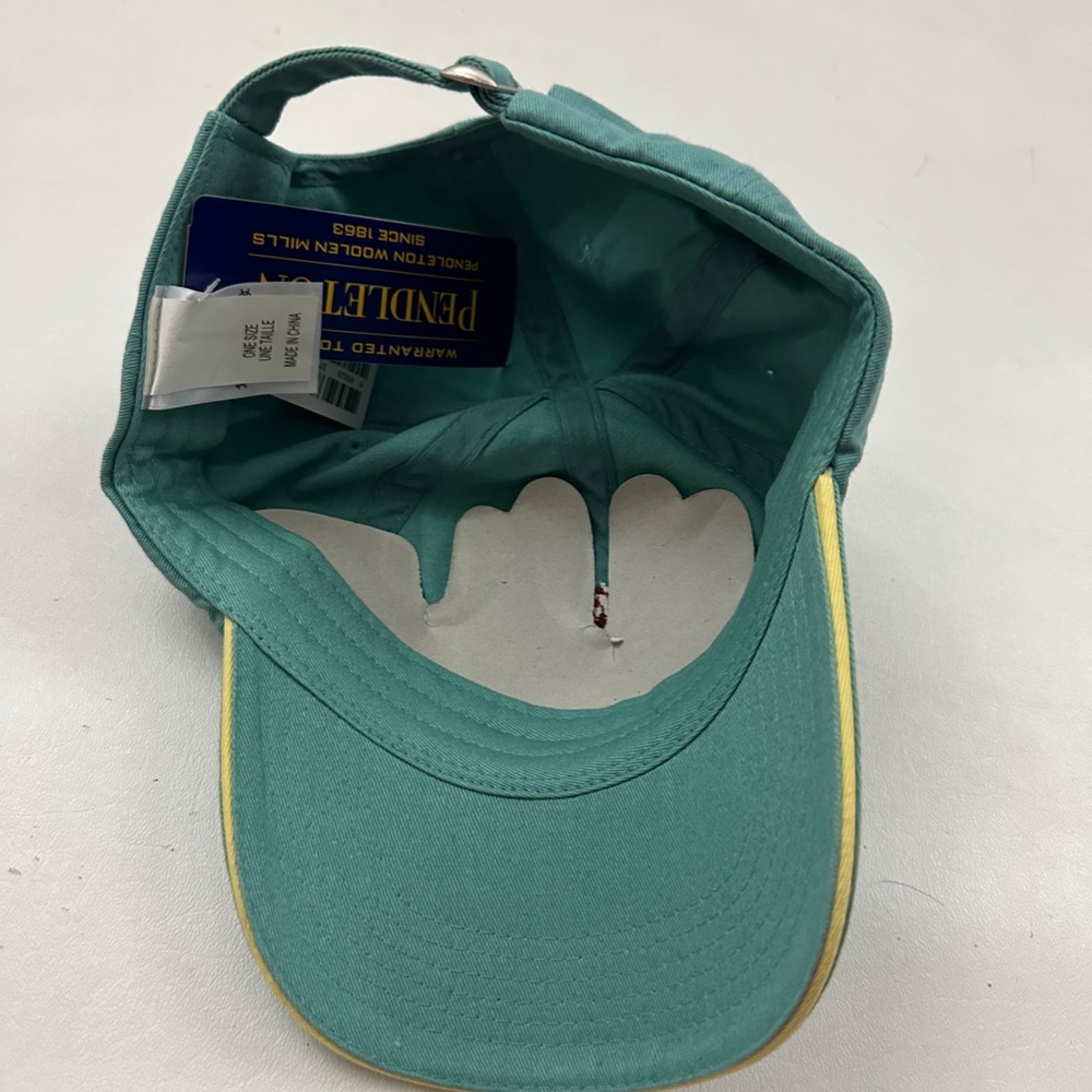 NEW Pendleton Aqua Logo Graphic Adjustable Baseball Hat Cap One Size - Picture 4 of 5